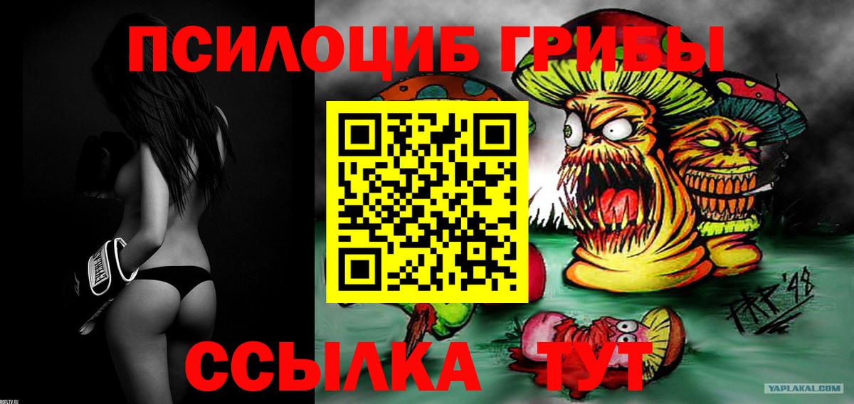 Псилоцибиновые грибы GOLDEN TEACHER Альметьевск